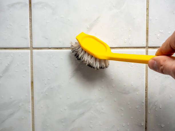 Best Mold Remediation  in Palermo, CA