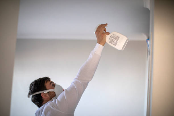 Best Commercial Mold Removal  in Palermo, CA