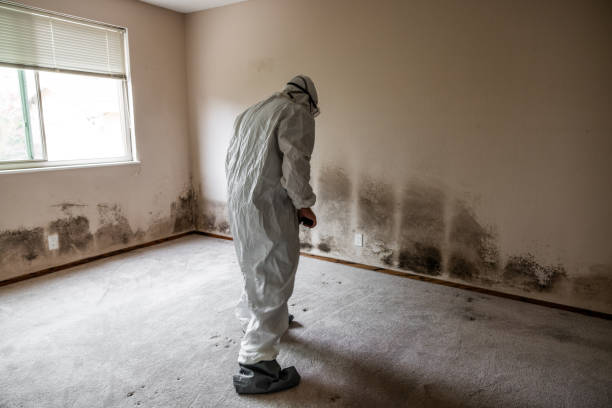 Best Residential Mold Removal  in Palermo, CA